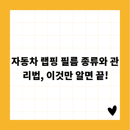자동차 랩핑 필름 종류와 관리법, 이것만 알면 끝!