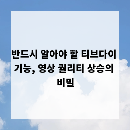 반드시 알아야 할 티브다이 기능, 영상 퀄리티 상승의 비밀