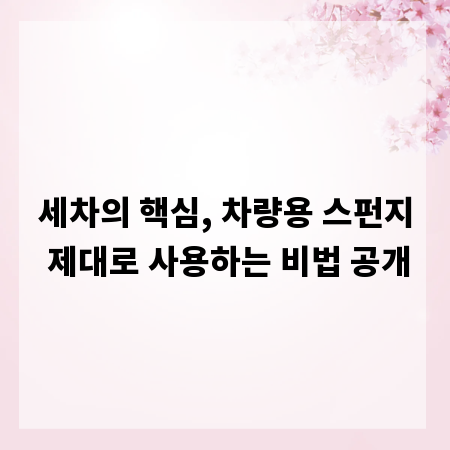 세차의 핵심, 차량용 스펀지 제대로 사용하는 비법 공개