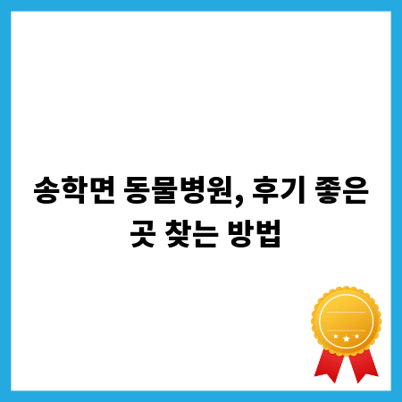행정사 활용법: 권익 보호를 위한 필수 가이드