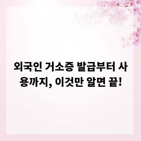 외국인 거소증 발급부터 사용까지, 이것만 알면 끝!