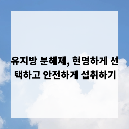 유지방 분해제, 현명하게 선택하고 안전하게 섭취하기