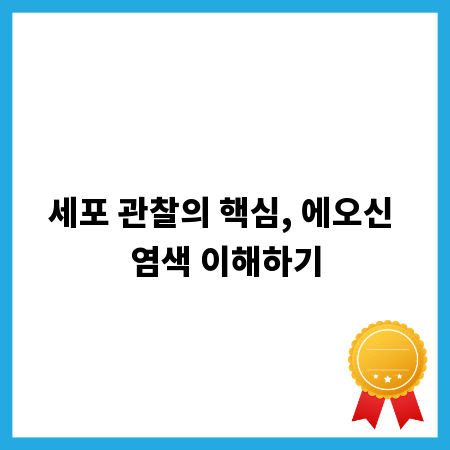 세포 관찰의 핵심, 에오신 염색 이해하기