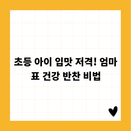 화질 손상 없이 메신저 사진·동영상 공유 팁