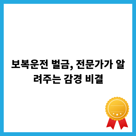 보복운전 벌금, 전문가가 알려주는 감경 비결