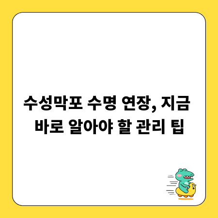 수성막포 수명 연장, 지금 바로 알아야 할 관리 팁