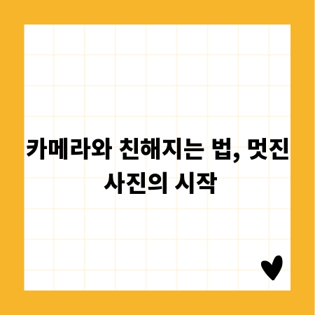 카메라와 친해지는 법, 멋진 사진의 시작