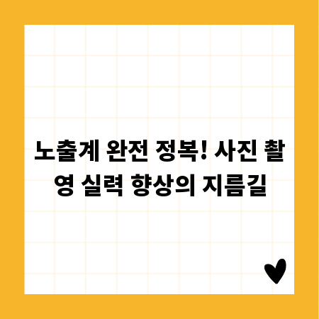 노출계 완전 정복! 사진 촬영 실력 향상의 지름길