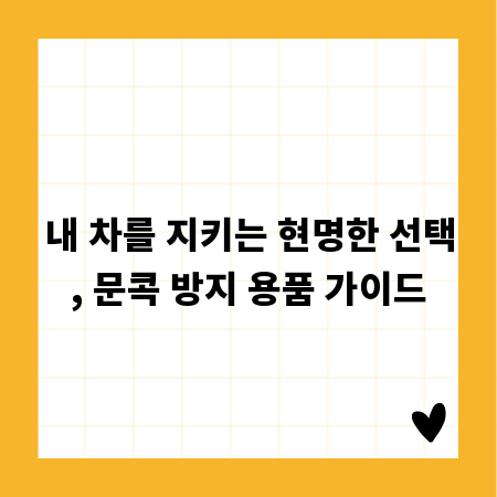 내 차를 지키는 현명한 선택, 문콕 방지 용품 가이드