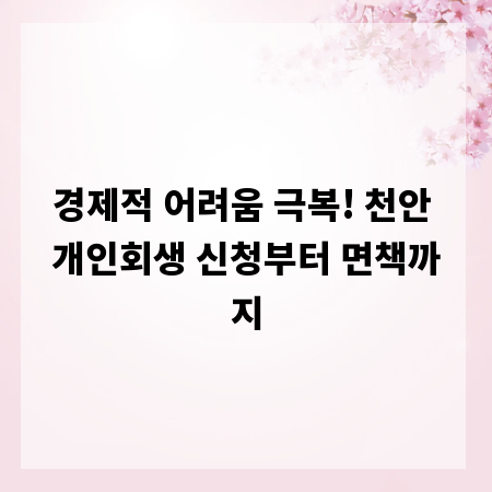 경제적 어려움 극복! 천안 개인회생 신청부터 면책까지