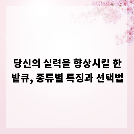 당신의 실력을 향상시킬 한밭큐, 종류별 특징과 선택법