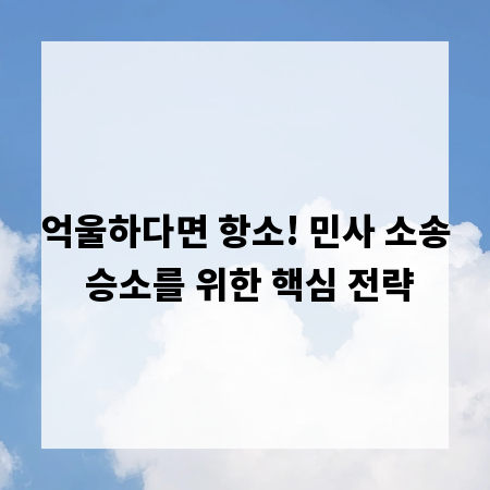 억울하다면 항소! 민사 소송 승소를 위한 핵심 전략