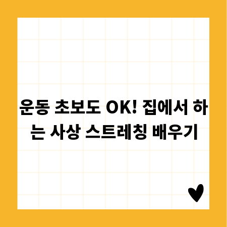 운동 초보도 OK! 집에서 하는 사상 스트레칭 배우기