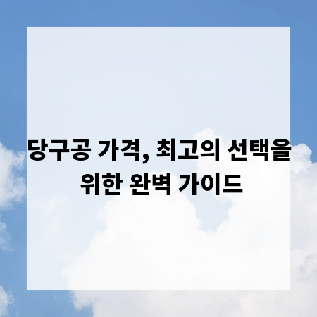 당구공 가격, 최고의 선택을 위한 완벽 가이드