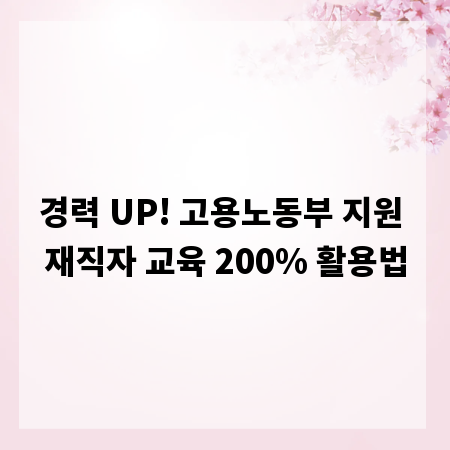 경력 UP! 고용노동부 지원 재직자 교육 200% 활용법