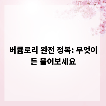 버큠로리 완전 정복: 무엇이든 물어보세요