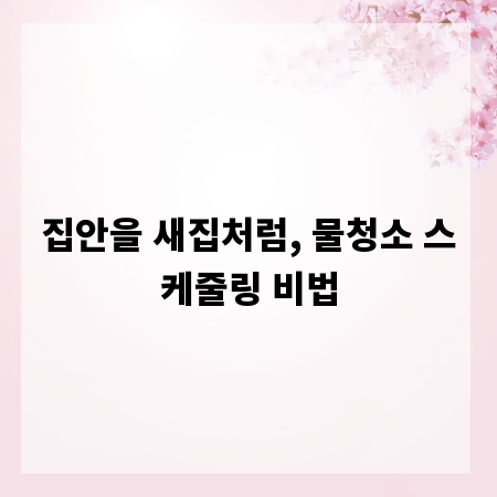 집안을 새집처럼, 물청소 스케줄링 비법