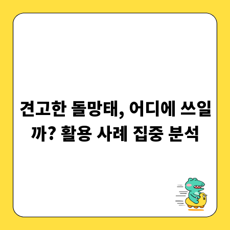 견고한 돌망태, 어디에 쓰일까? 활용 사례 집중 분석