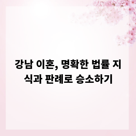 강남 이혼, 명확한 법률 지식과 판례로 승소하기