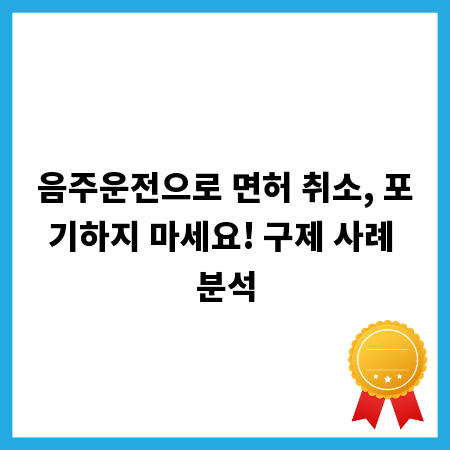 음주운전으로 면허 취소, 포기하지 마세요! 구제 사례 분석