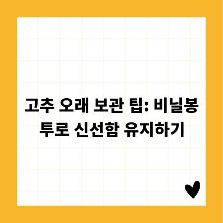 고추 오래 보관 팁: 비닐봉투로 신선함 유지하기