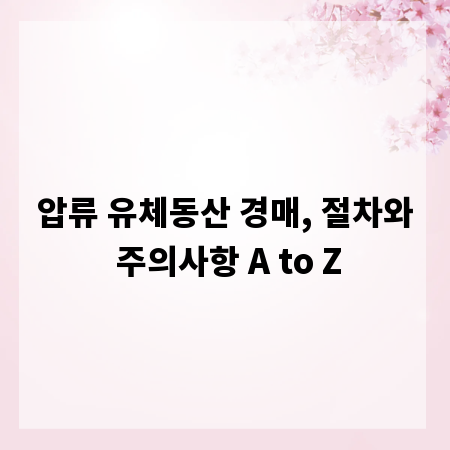 압류 유체동산 경매, 절차와 주의사항 A to Z