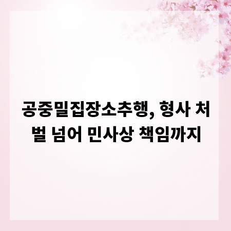 공중밀집장소추행, 형사 처벌 넘어 민사상 책임까지