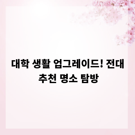 대학 생활 업그레이드! 전대 추천 명소 탐방