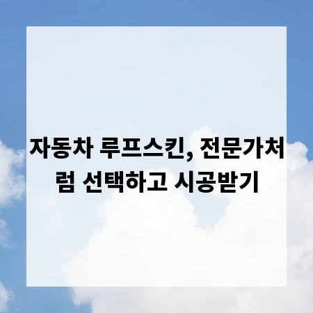 자동차 루프스킨, 전문가처럼 선택하고 시공받기