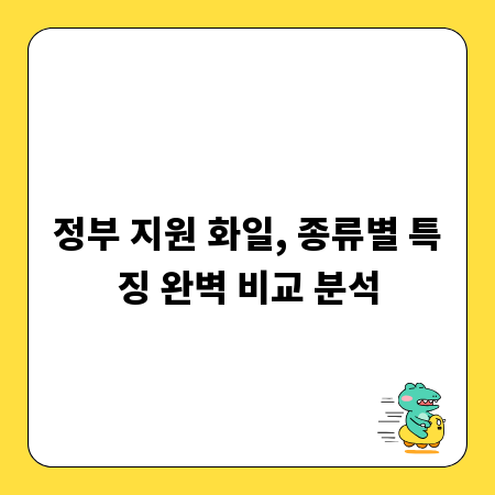 정부 지원 화일, 종류별 특징 완벽 비교 분석