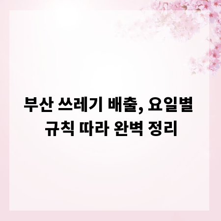 부산 쓰레기 배출, 요일별 규칙 따라 완벽 정리