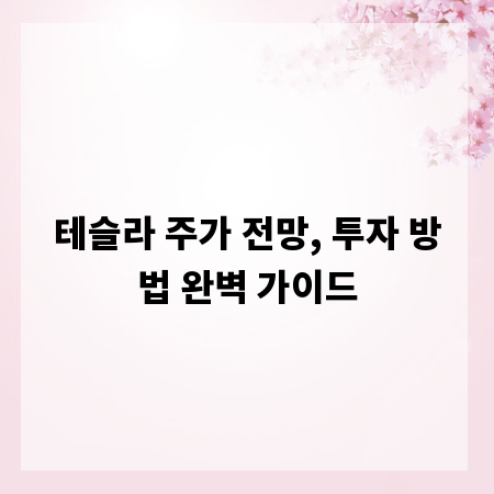 테슬라 주가 전망, 투자 방법 완벽 가이드