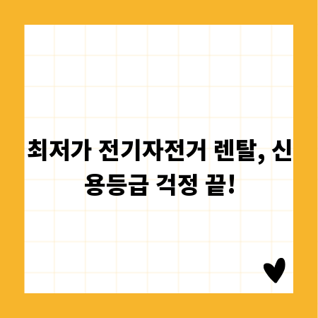 우리 집 벌집 걱정 끝! 똑똑한 벌집망 설치 노하우