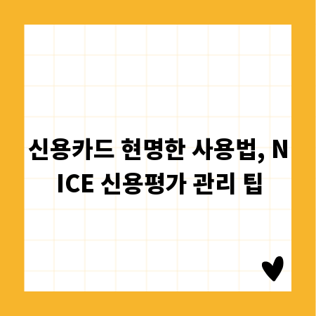 신용카드 현명한 사용법, NICE 신용평가 관리 팁