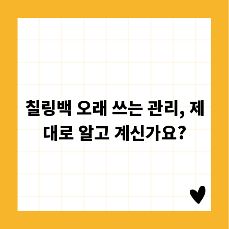 칠링백 오래 쓰는 관리, 제대로 알고 계신가요?