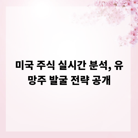 미국 주식 실시간 분석, 유망주 발굴 전략 공개