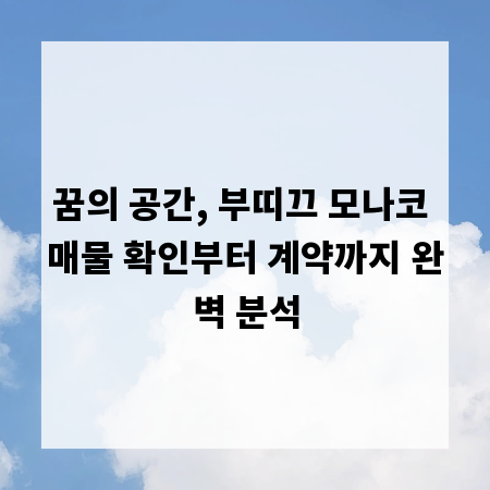 꿈의 공간, 부띠끄 모나코 매물 확인부터 계약까지 완벽 분석