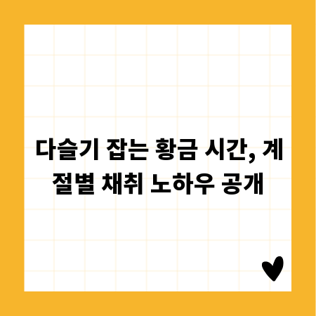 레저스포츠학과, 당신의 미래를 열어줄 취업 로드맵