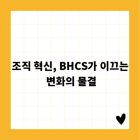 조직 혁신, BHCS가 이끄는 변화의 물결