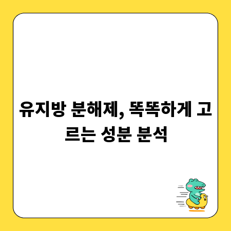 유지방 분해제, 똑똑하게 고르는 성분 분석
