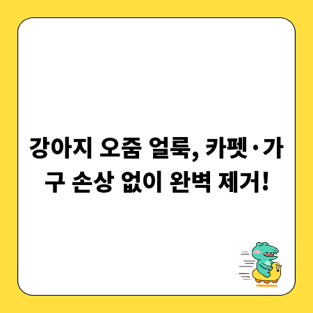 강아지 오줌 얼룩, 카펫·가구 손상 없이 완벽 제거!