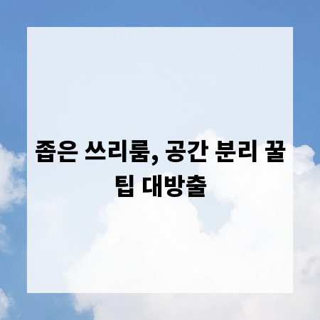 좁은 쓰리룸, 공간 분리 꿀팁 대방출
