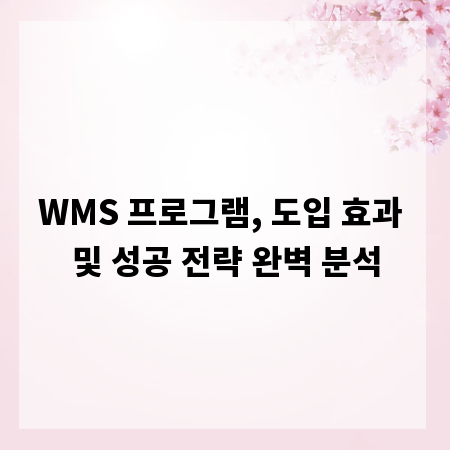 WMS 프로그램, 도입 효과 및 성공 전략 완벽 분석