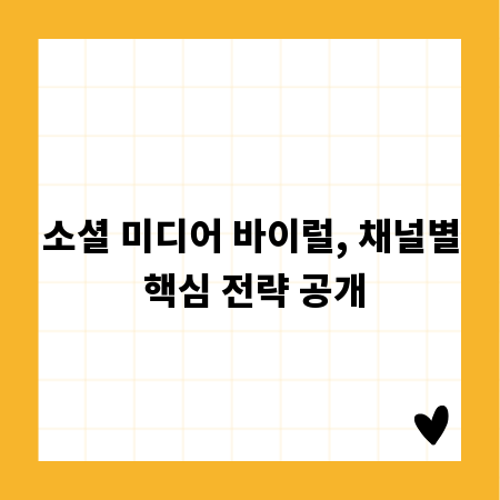소셜 미디어 바이럴, 채널별 핵심 전략 공개