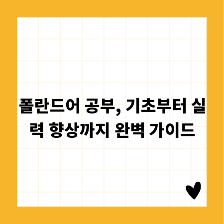 폴란드어 공부, 기초부터 실력 향상까지 완벽 가이드
