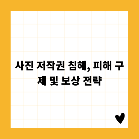 사진 저작권 침해, 피해 구제 및 보상 전략