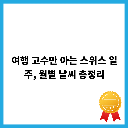 내 차를 위한 최적의 주차꼬깔콘 찾기: 상세 비교 분석