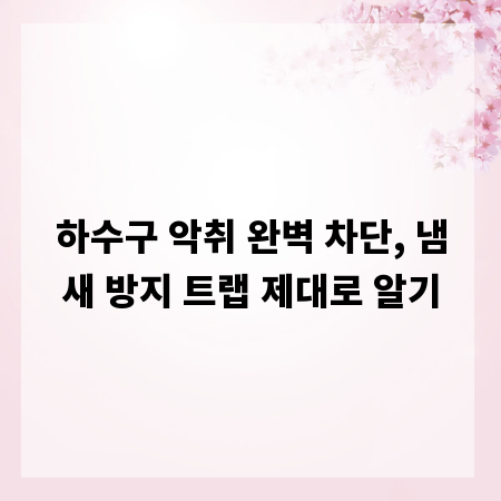 하수구 악취 완벽 차단, 냄새 방지 트랩 제대로 알기