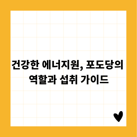 건강한 에너지원, 포도당의 역할과 섭취 가이드
