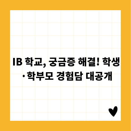IB 학교, 궁금증 해결! 학생·학부모 경험담 대공개